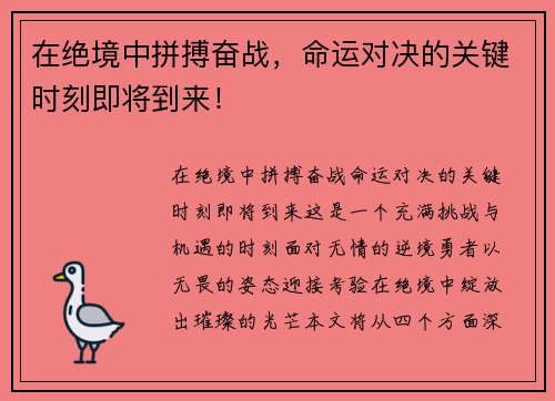 在绝境中拼搏奋战，命运对决的关键时刻即将到来！