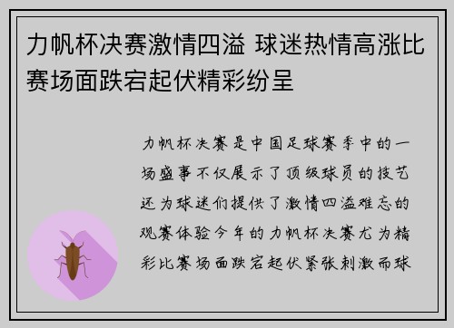 力帆杯决赛激情四溢 球迷热情高涨比赛场面跌宕起伏精彩纷呈