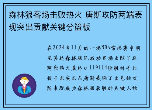 森林狼客场击败热火 唐斯攻防两端表现突出贡献关键分篮板