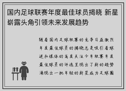 国内足球联赛年度最佳球员揭晓 新星崭露头角引领未来发展趋势