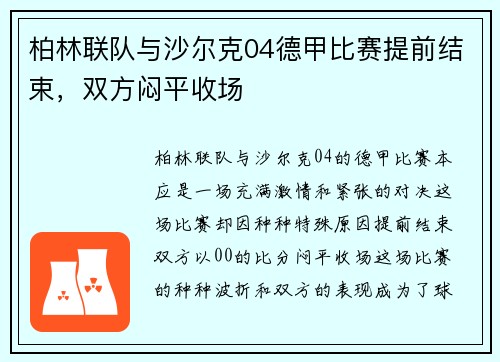 柏林联队与沙尔克04德甲比赛提前结束，双方闷平收场